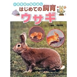 いきものとなかよしはじめての飼育 ウサギ [全集叢書]