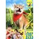 マメシバ一郎フーテンの芝二郎 映画版[DVD]