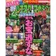 パチスロ攻略マガジン ドラゴン 2013年 05月号 [雑誌]
