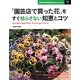 「園芸店で買った花」をすぐ枯らさない知恵とコツ(主婦の友新実用BOOKS) [単行本]