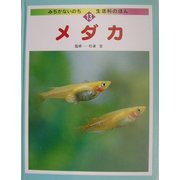 メダカ(みぢかないのち・生活科のほん〈13〉) [全集叢書]