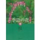 季語の花 春 [単行本]