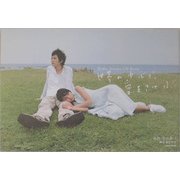 世界の中心で、愛をさけぶ(Radio Drama CD Book) [単行本]