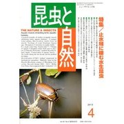 昆虫と自然 2013年 04月号 [雑誌]