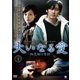大いなる愛 ～相思樹の奇跡～ DVD-BOX1 [DVD]