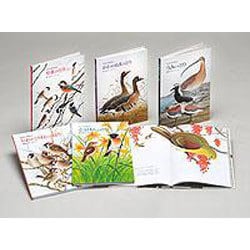 ヨドバシ.com - 復刊薮内正幸日本の野鳥セット(全6冊) 通販