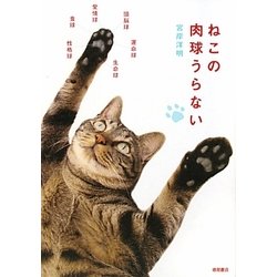 ねこの肉球うらない [単行本]