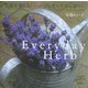Everyday Herb―季節を楽しむハーブと香りのある暮らし [単行本]