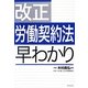 改正労働契約法早わかり [単行本]