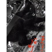 東京猫町 [単行本]