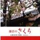 鎌倉のさくら 増補新装版－高柳英麿写真集 [単行本]