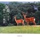 奈良―鹿のいる風景 山口勇写真集 [単行本]