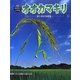 オオカマキリ―狩りをする昆虫(科学のアルバム・かがやくいのち〈15〉) [全集叢書]