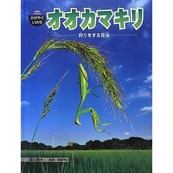 オオカマキリ―狩りをする昆虫(科学のアルバム・かがやくいのち〈15〉) [全集叢書]