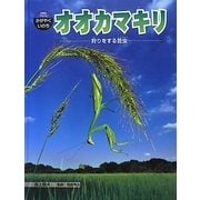 オオカマキリ―狩りをする昆虫(科学のアルバム・かがやくいのち〈15〉) [全集叢書]