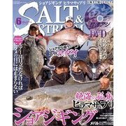 SALT & STREAM (ソルトアンドストリーム) 2013年 06月号 [雑誌]