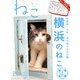 ねこ 2013年 05月号 [雑誌]