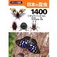 ポケット図鑑日本の昆虫1400〈1〉チョウ・バッタ・セミ [図鑑]