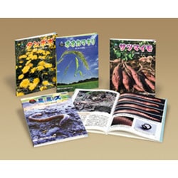 科学のアルバムかがやくいのち 第4期 全4巻 [全集叢書]