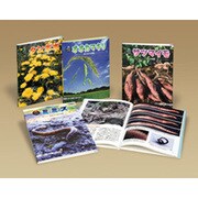 科学のアルバムかがやくいのち 第4期 全4巻 [全集叢書]