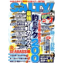 salty ! (ソルティ) 2013年 06月号 [雑誌]