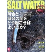 SALT WATER (ソルトウォーター) 2013年 06月号 [雑誌]