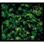 the elephant kashimashi 25th anniversary great album deluxe edition series 2 ココロに花を deluxe edition