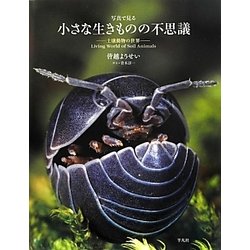 写真で見る小さな生きものの不思議―土壌動物の世界 [単行本]