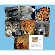 ナショナルジオグラフィック動物大せっきん 第2期(全6巻) [図鑑]