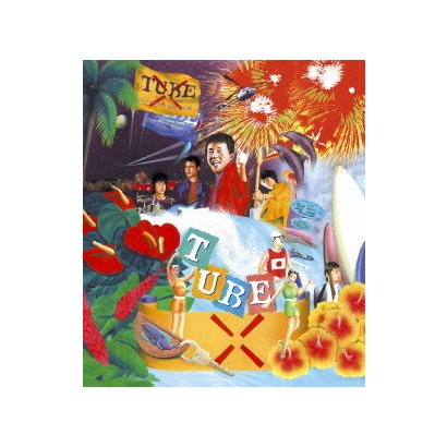 中古】TUBE LIVE AROUND SPECIAL 2013 HANDMADE SUMMER [DVD] rdzdsi3