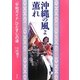 沖縄の風よ薫れ―「平和ガイド」ひとすじの道 [単行本]
