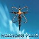 菅野よう子／マクロスプラス オリジナルサウンドトラック2