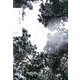 世界 [単行本]