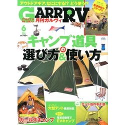 ガルヴィ 2013年 06月号 [雑誌]