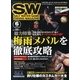 SALT WATER GAME FISHING MAGAZINE (ソルトウォーターゲームフィッシイングマガジン) 2013年 06月号 [雑誌]