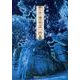 盛岡伝説案内－其の壱-其の百 [単行本]