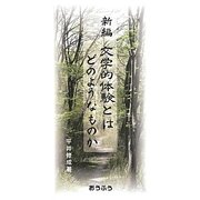 新編 文学的体験とはどのようなものか [単行本]
