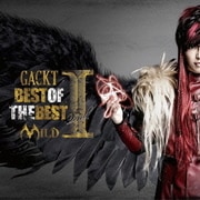 BEST OF THE BEST Vol.Ⅰ MILD