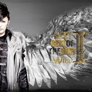 BEST OF THE BEST Vol.Ⅰ WILD