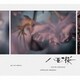 坂本龍一・中島ノブユキ／NHK大河ドラマ オリジナル・サウンドトラック 「八重の桜」Ⅱ
