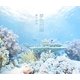 夢色の海 [単行本]