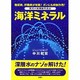 海洋ミネラル－糖尿病、肝臓病が改善ガンにも抑制作用 驚異の新機能性食品 [単行本]