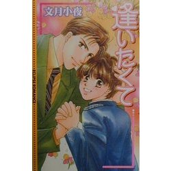 逢いたくて(エクリプスロマンス) [新書]