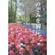 のぞみを胸に(ガリバーBOOKS) [単行本]