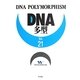 DNA多型〈Vol.21〉 [全集叢書]
