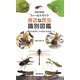 フィールドガイド身近な昆虫識別図鑑―見わけるポイントがよくわかる [単行本]