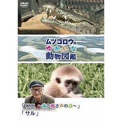 ヨドバシ Com ムツゴロウのゆかいな動物図鑑 ワニ 歯と鳴き声の謎 サル Dvd 通販 全品無料配達