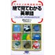 絵で見てわかる英単語―これさえあれば日常生活は大丈夫 [新書]