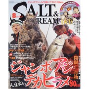SALT & STREAM (ソルトアンドストリーム) 2013年 08月号 [雑誌]