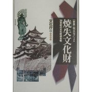 戦災等による焼失文化財―20世紀の文化財過去帳 新版 [単行本]